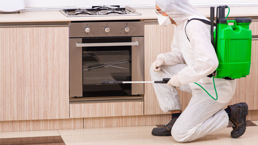 Coin cuisine d'appartement marseillais nécessitant une inspection contre les cafards