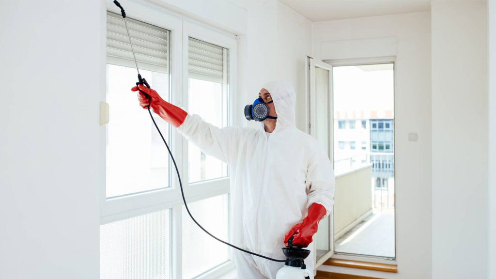 Technicien en désinsectisation avec équipement professionnel inspectant une zone de traitement